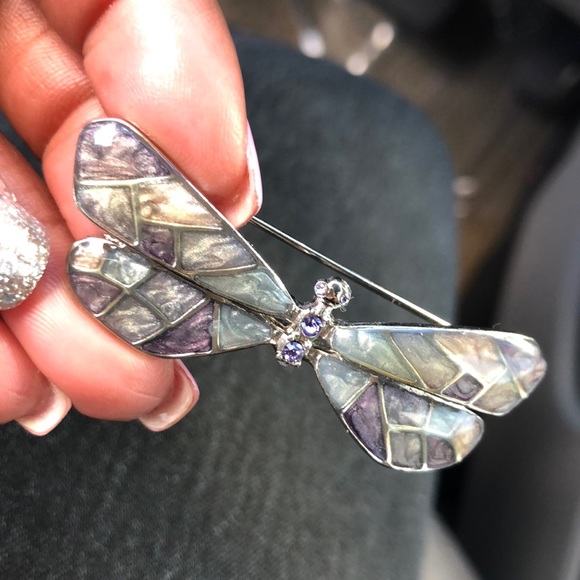 pinned Accessories - Beautiful DRAGON FLy pin